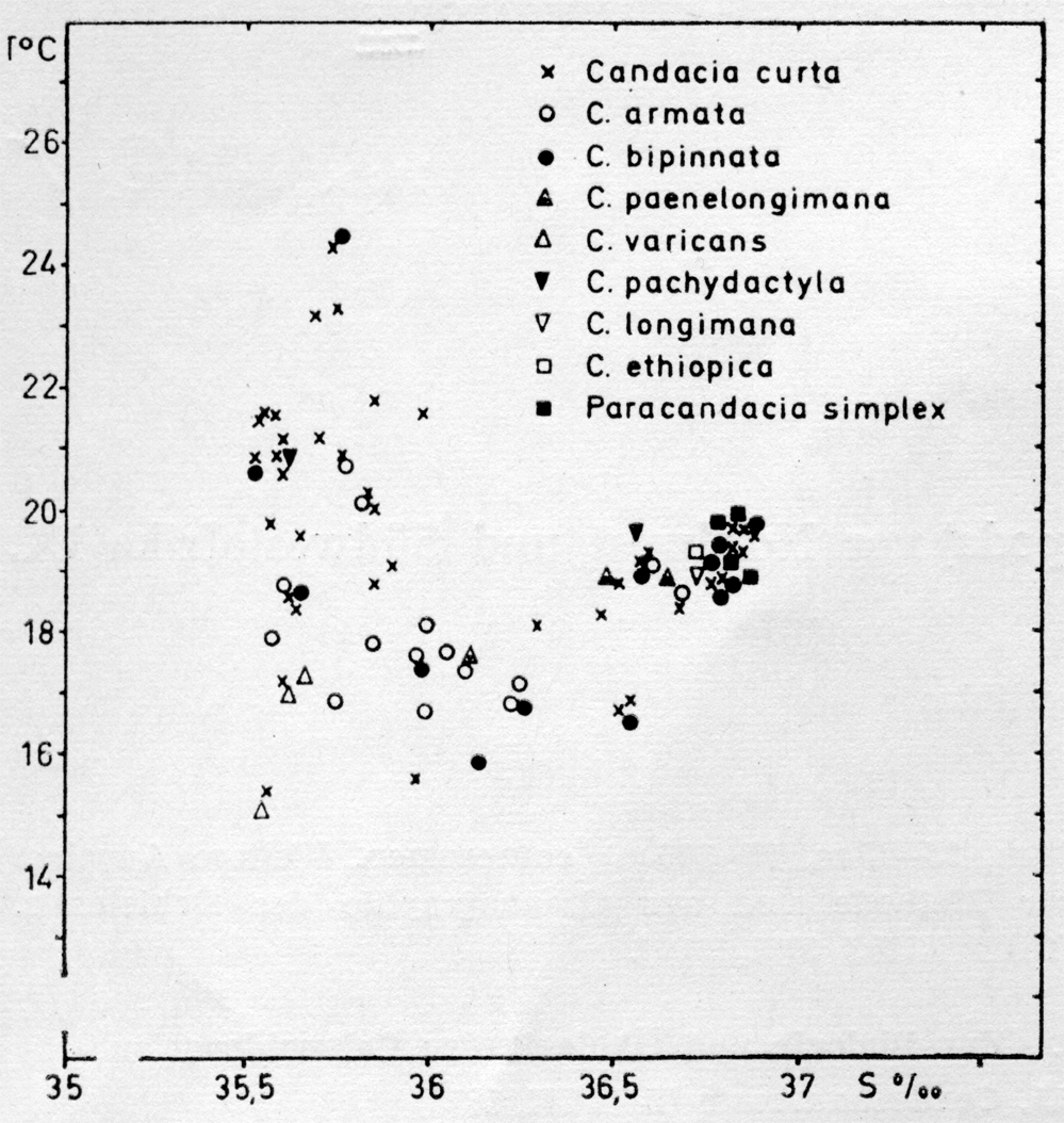 Espèce Candacia simplex - Carte de distribution 7