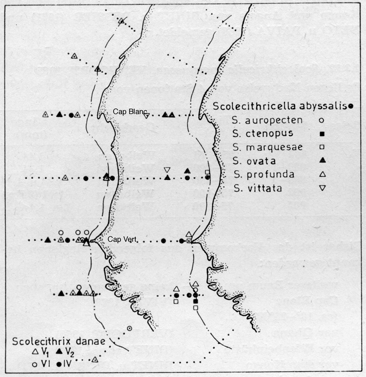 Espèce Scolecithricella abyssalis - Carte de distribution 4