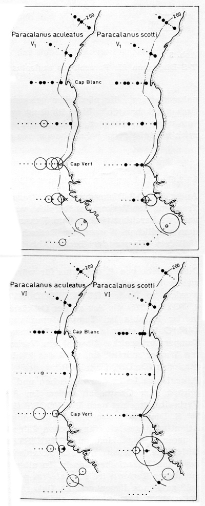 Espèce Paracalanus aculeatus - Carte de distribution 7