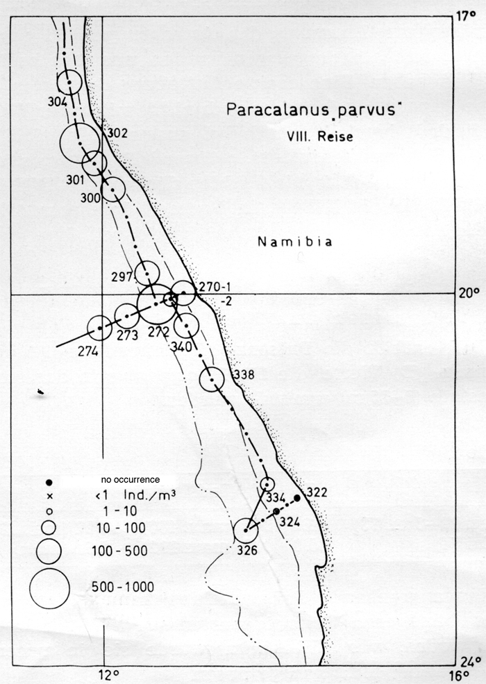 Species Paracalanus parvus - Distribution map 14