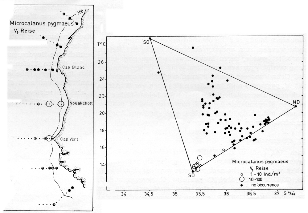 Species Microcalanus pygmaeus - Distribution map 5