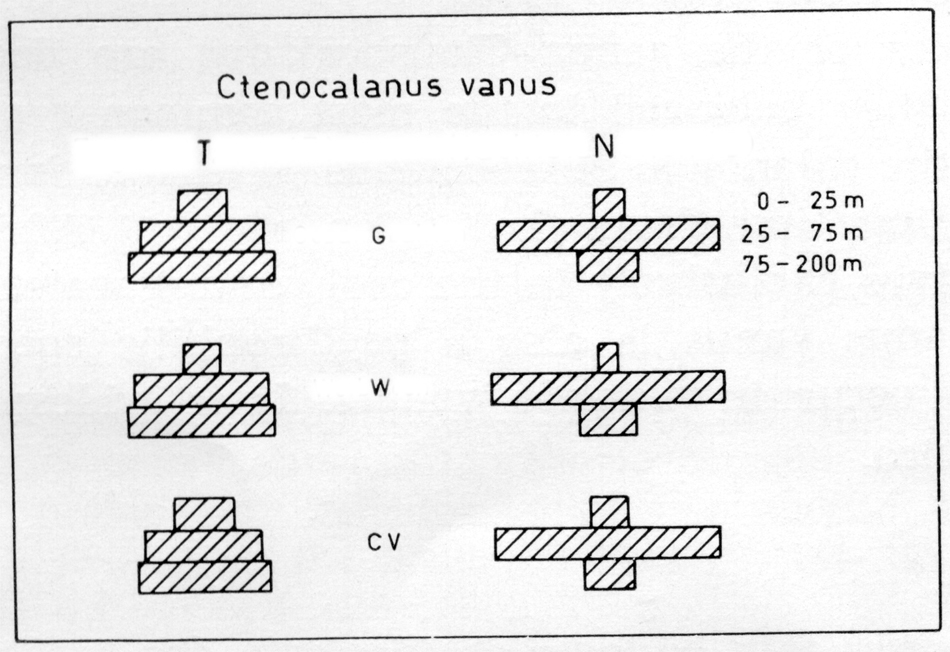 Espèce Ctenocalanus vanus - Carte de distribution 9