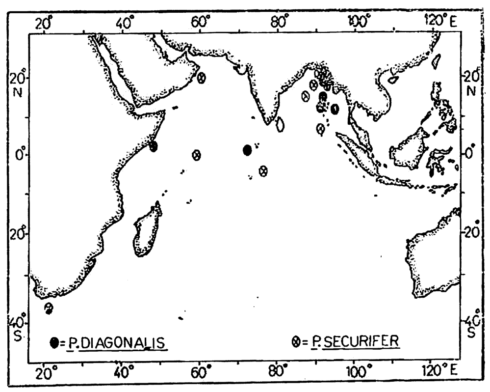 Espce Pontella diagonalis - Carte de distribution 2