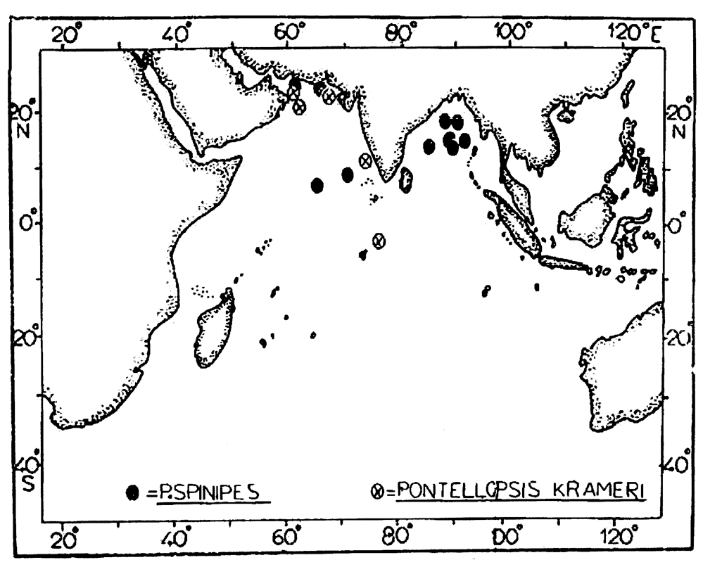 Espèce Pontellopsis krameri - Carte de distribution 2