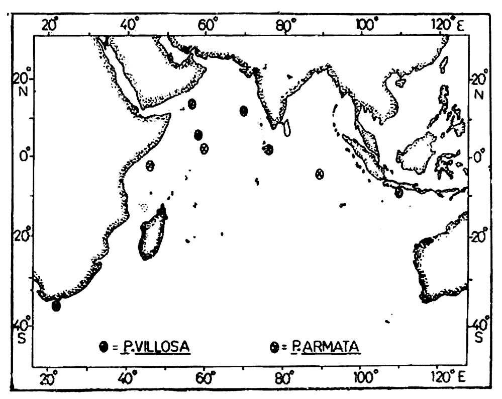 Species Pontellopsis villosa - Distribution map 7