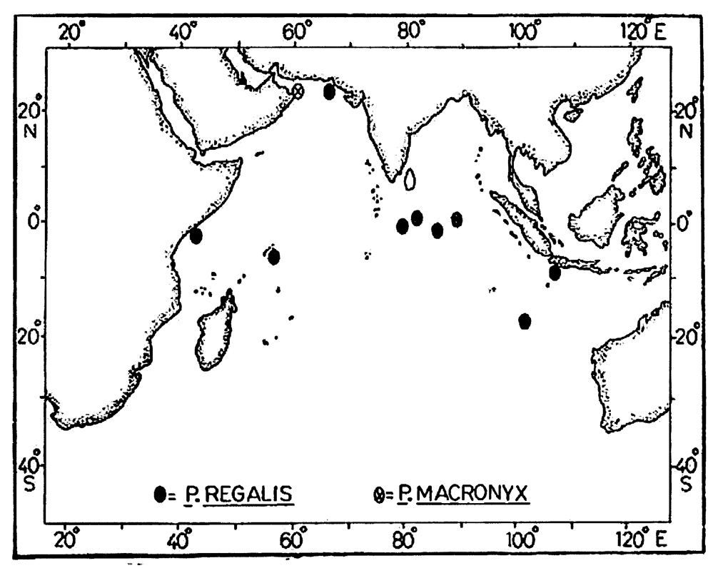 Species Pontellopsis macronyx - Distribution map 2