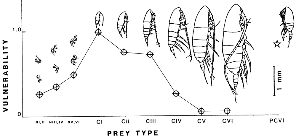 Espce Paraeuchaeta elongata - Carte de distribution 3