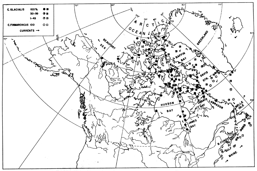 Species Calanus glacialis - Distribution map 7
