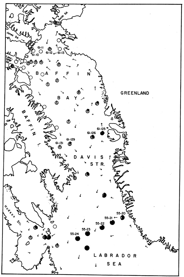 Species Calanus glacialis - Distribution map 8