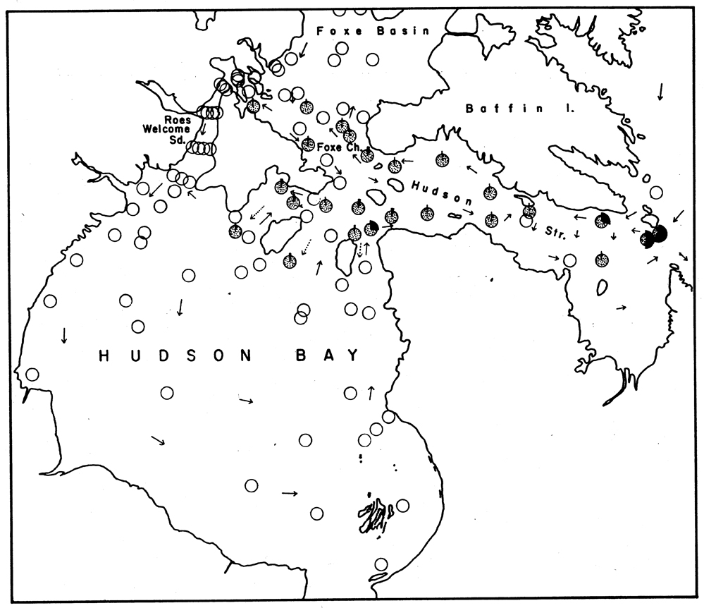 Espce Calanus glacialis - Carte de distribution 9