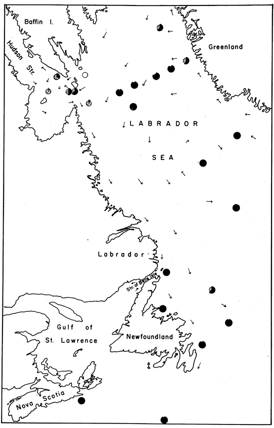 Espce Calanus glacialis - Carte de distribution 10