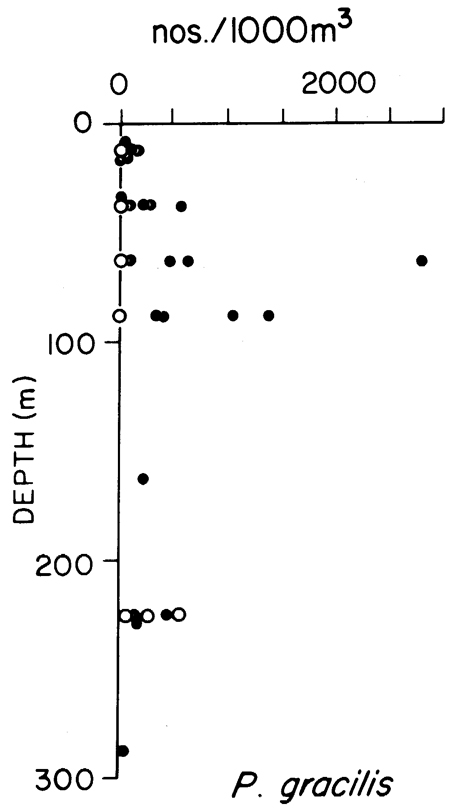 Espce Pleuromamma gracilis - Carte de distribution 10