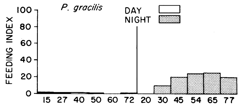 Espce Pleuromamma gracilis - Carte de distribution 11