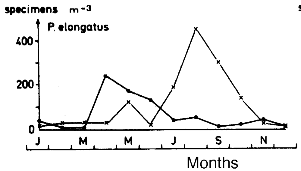 Espce Pseudocalanus elongatus - Carte de distribution 7