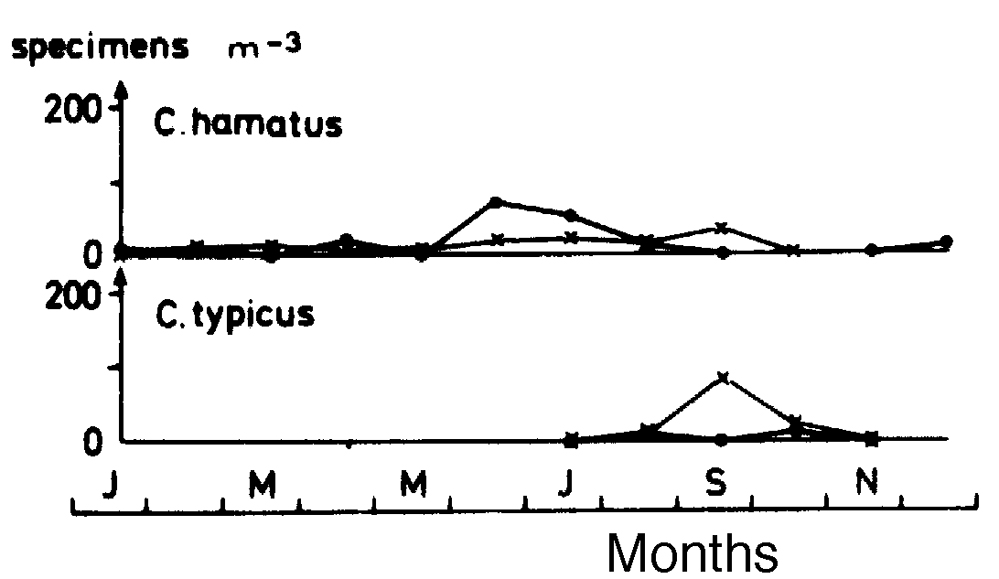Espèce Centropages typicus - Carte de distribution 19