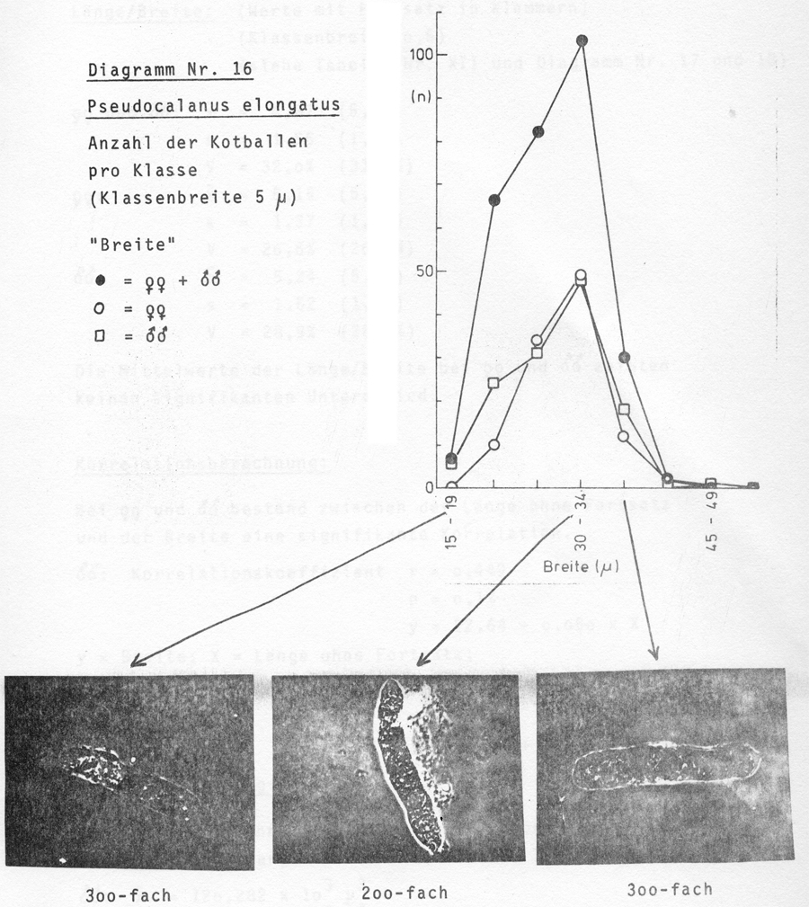 Espce Pseudocalanus elongatus - Carte de distribution 11