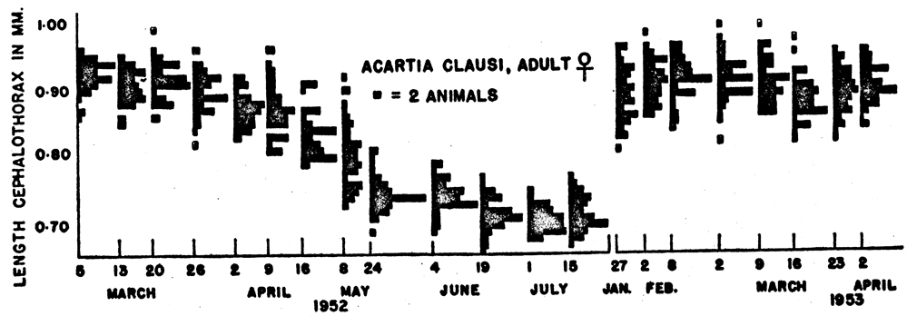 Species Acartia (Acartiura) clausi - Distribution map 16