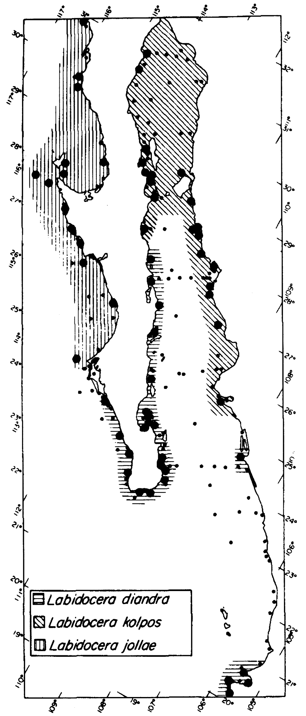 Species Labidocera diandra - Distribution map 2