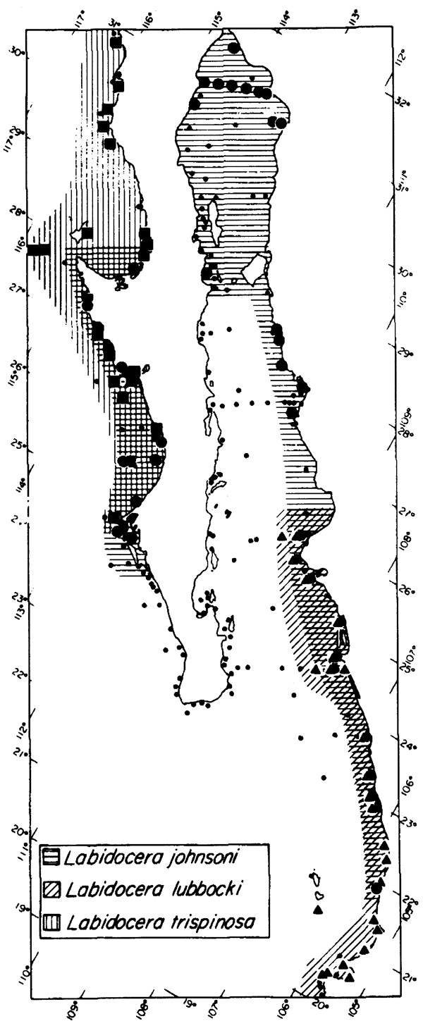 Species Labidocera trispinosa - Distribution map 4
