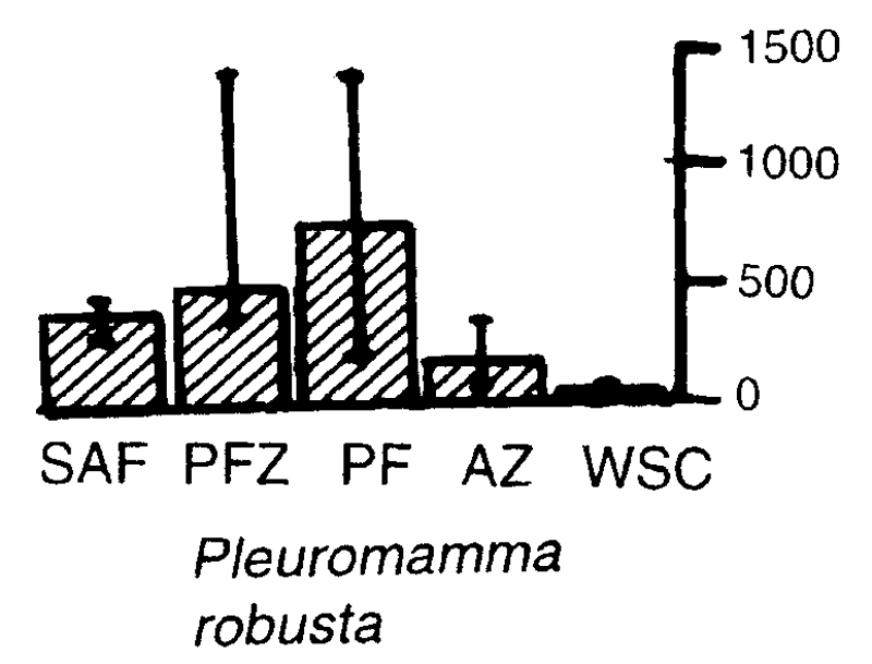 Espèce Pleuromamma robusta - Carte de distribution 7