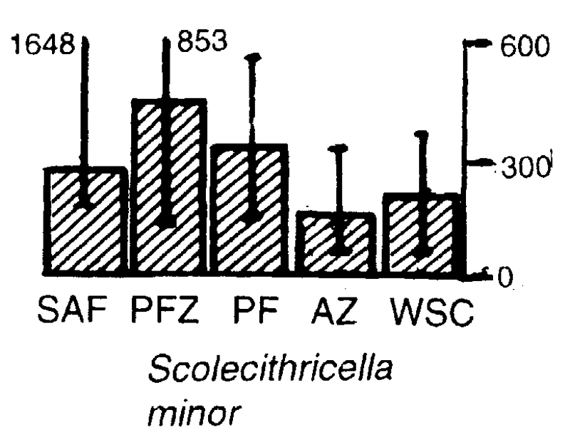 Espèce Scolecithricella minor - Carte de distribution 4