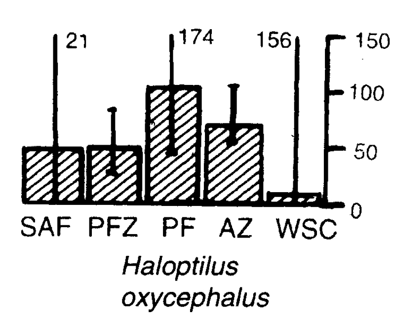 Species Haloptilus oxycephalus - Distribution map 4