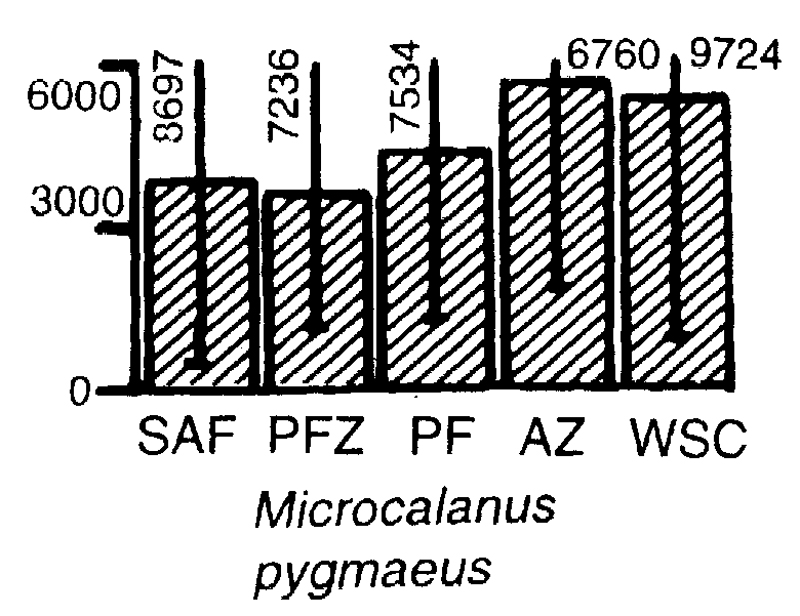 Species Microcalanus pygmaeus - Distribution map 7