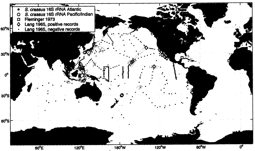 Species Subeucalanus crassus - Distribution map 3