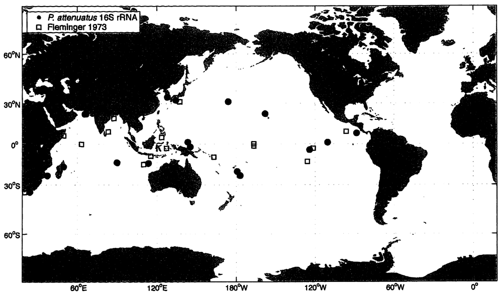 Species Pareucalanus attenuatus - Distribution map 4