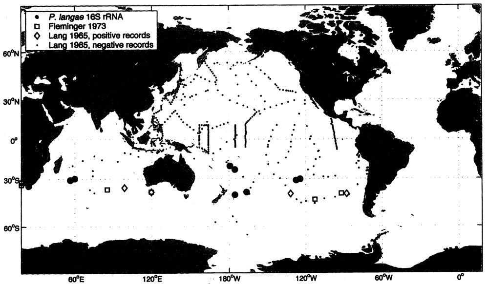 Species Pareucalanus langae - Distribution map 3