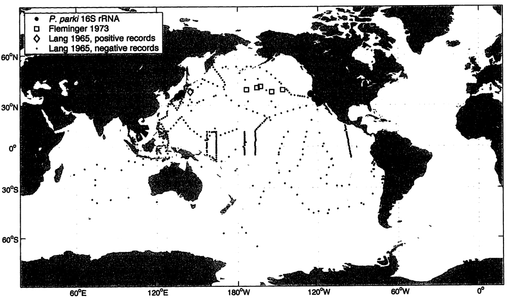 Species Pareucalanus parki - Distribution map 3