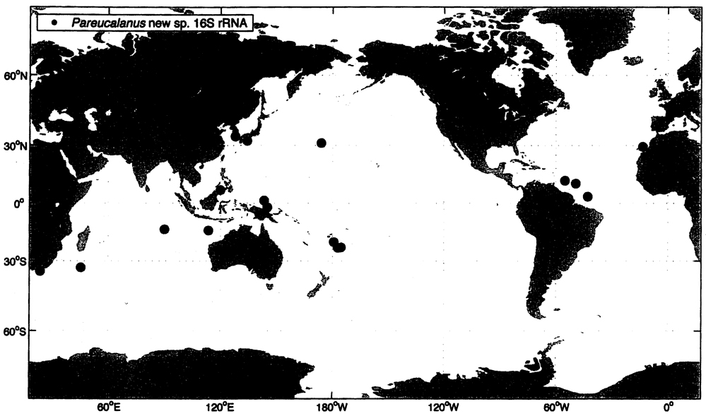 Species Pareucalanus sp. - Distribution map 2