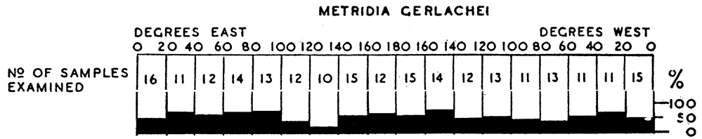 Espce Metridia gerlachei - Carte de distribution 11