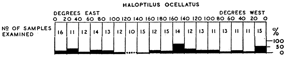 Espce Haloptilus ocellatus - Carte de distribution 3