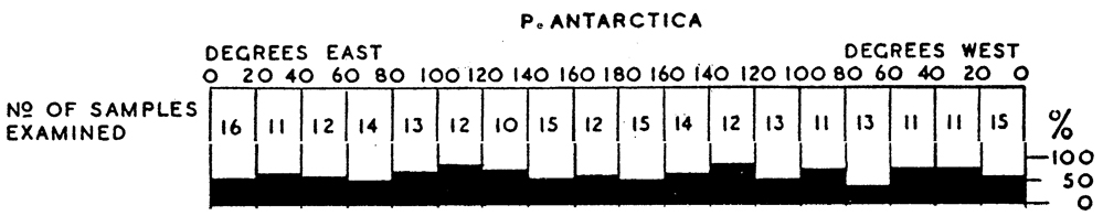 Species Paraeuchaeta antarctica - Distribution map 12