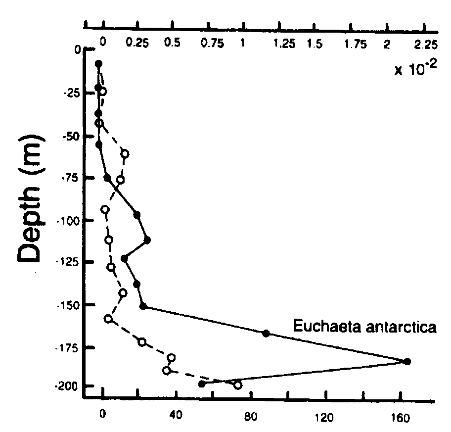 Espce Paraeuchaeta antarctica - Carte de distribution 13