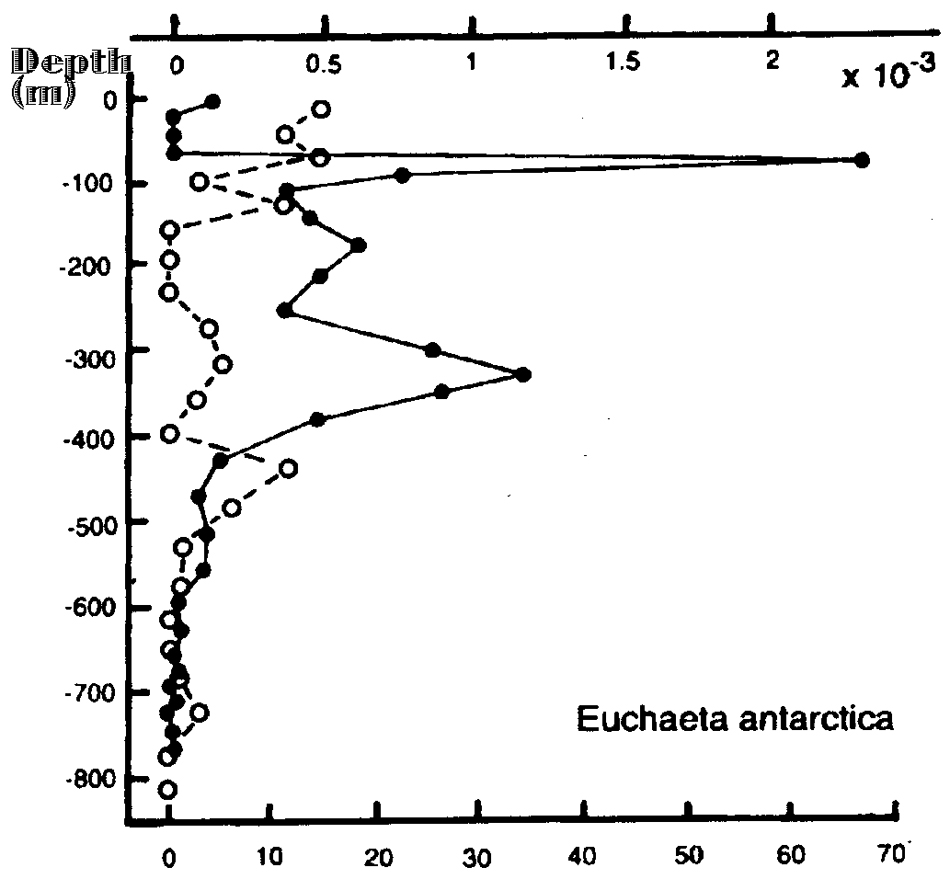 Espce Paraeuchaeta antarctica - Carte de distribution 15