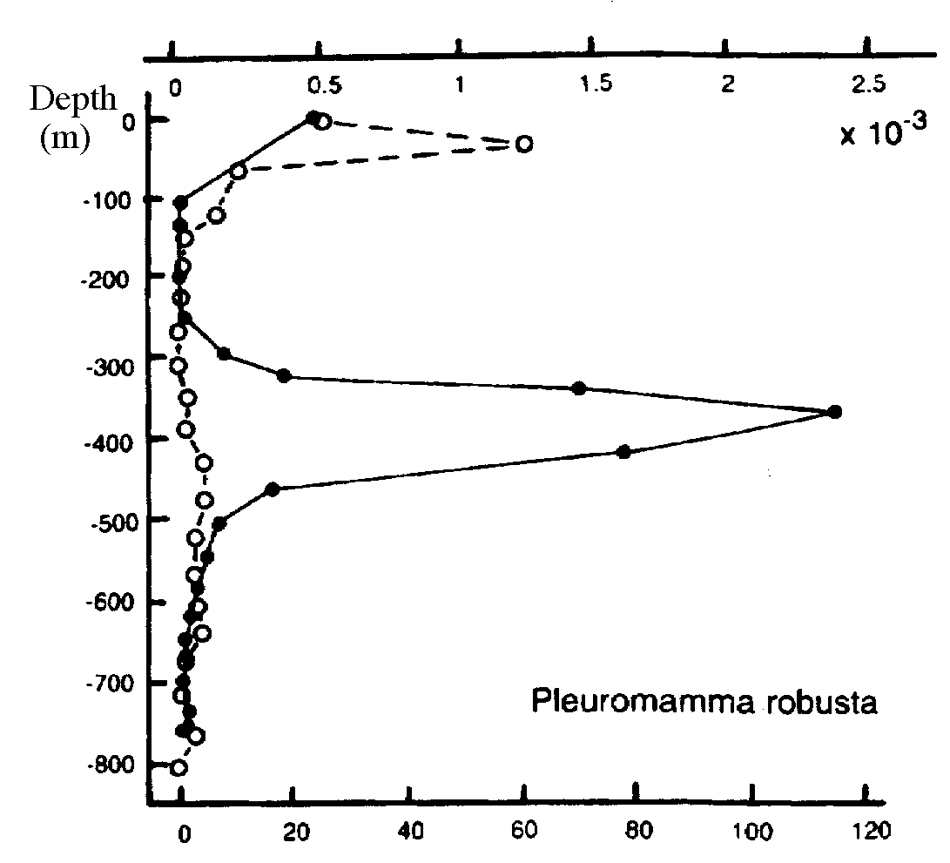 Espèce Pleuromamma robusta - Carte de distribution 9