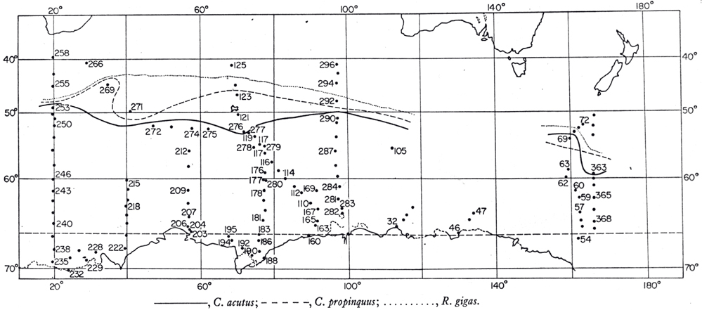 Species Rhincalanus gigas - Distribution map 19