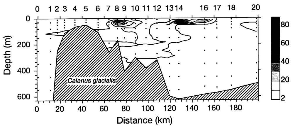 Species Calanus glacialis - Distribution map 15