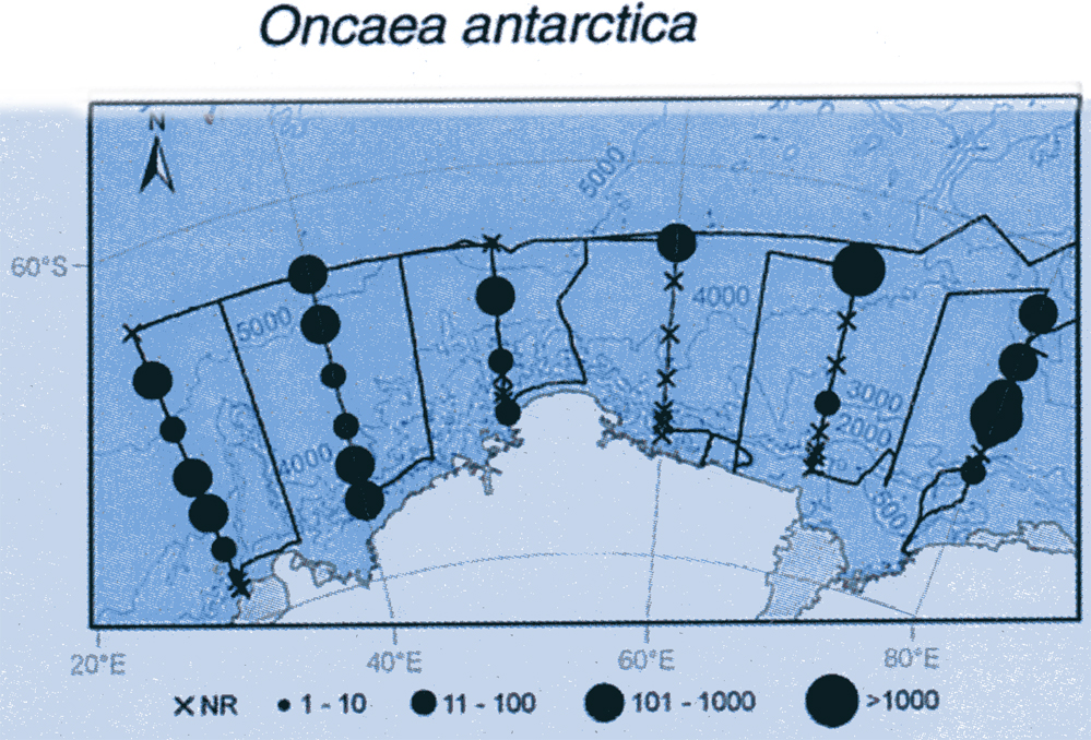 Species Triconia antarctica - Distribution map 3