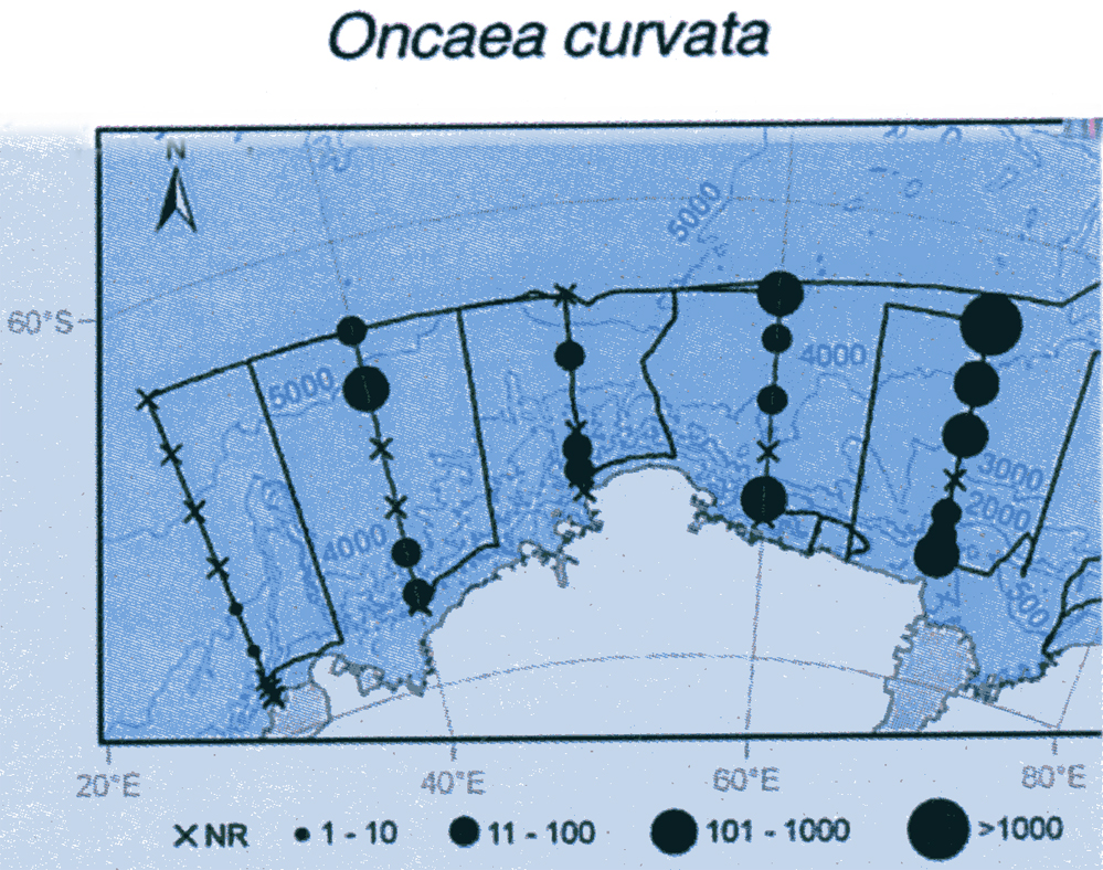Espèce Oncaea curvata - Carte de distribution 3