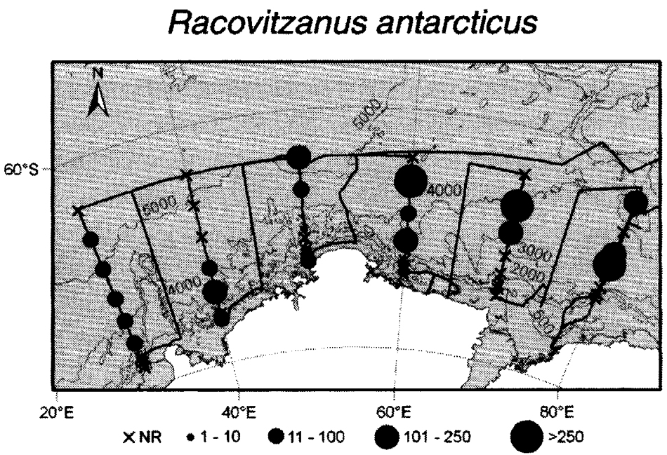 Espce Racovitzanus antarcticus - Carte de distribution 4