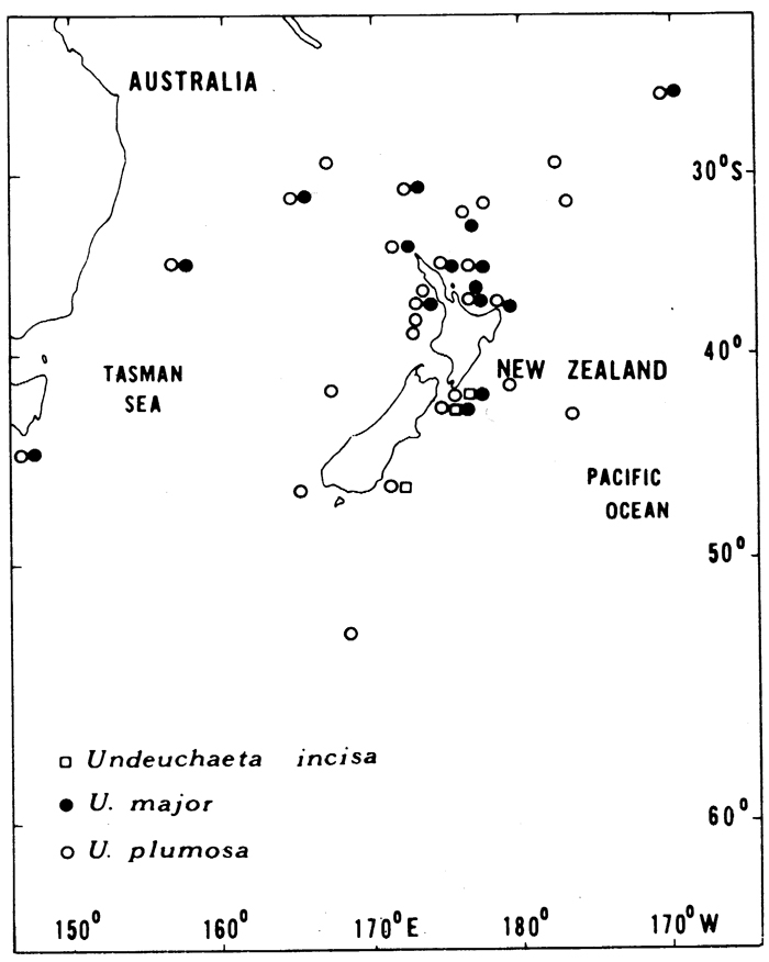 Species Undeuchaeta incisa - Distribution map 3