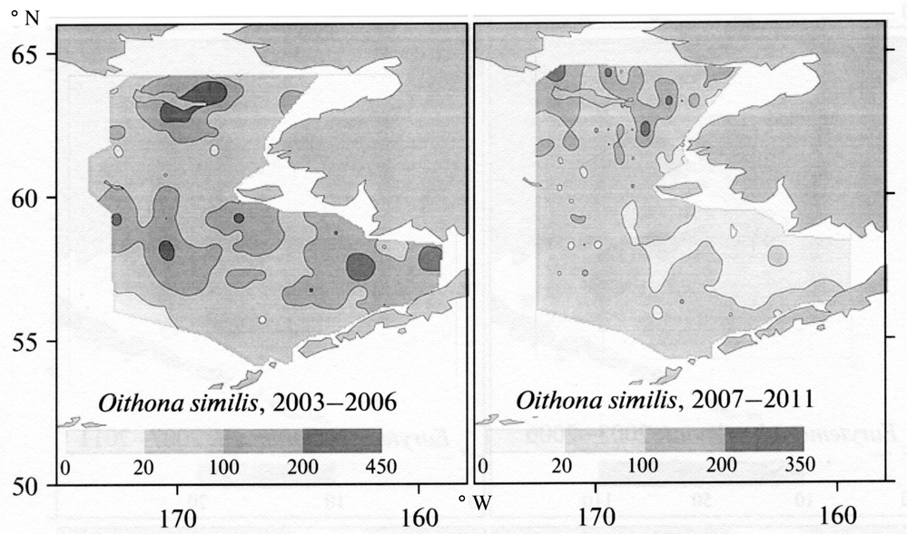 Species Oithona similis-Group - Distribution map 30