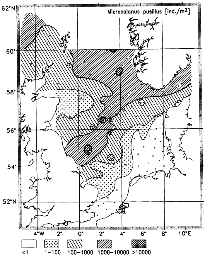 Species Microcalanus pusillus - Distribution map 4