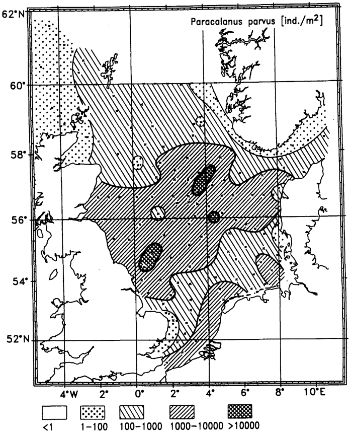 Species Paracalanus parvus - Distribution map 24