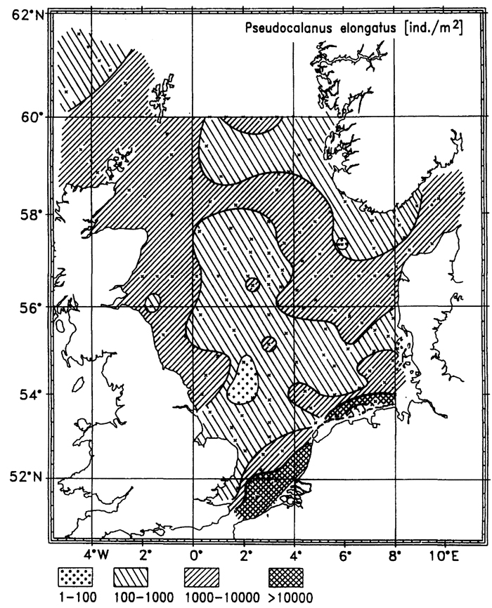 Species Pseudocalanus elongatus - Distribution map 19