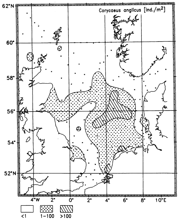 Species Corycaeus (Ditrichocorycaeus) anglicus - Distribution map 3
