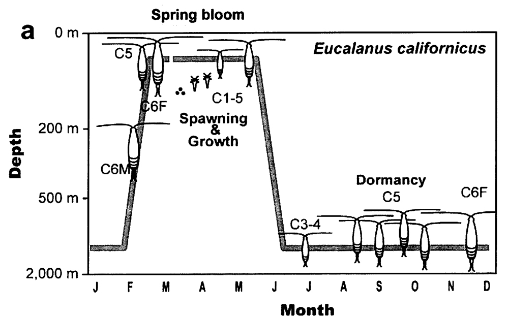 Espce Eucalanus californicus - Carte de distribution 3